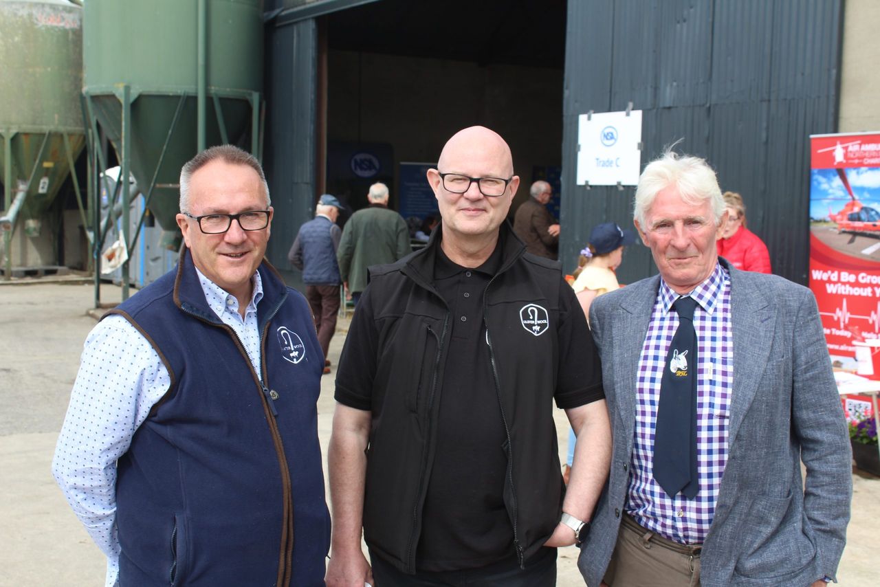 Ulster Wool Group: 'Significant increase' in fleece deliveries expected