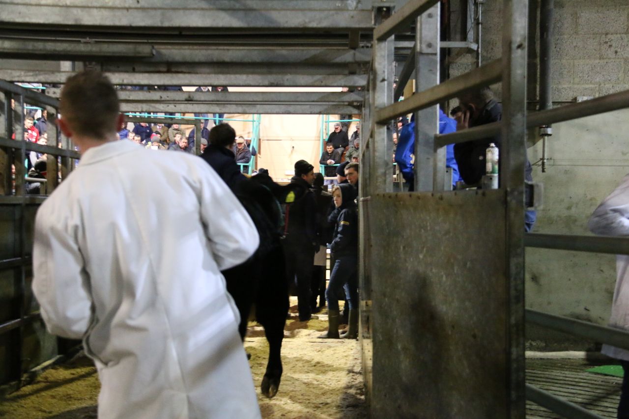 Date set for 'gradual reopening' of NI marts
