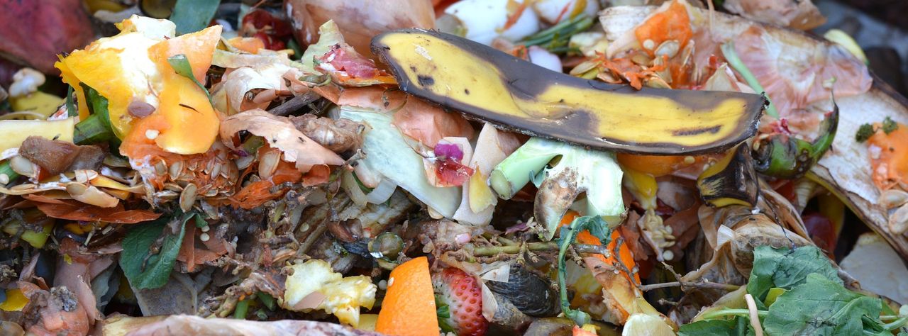 16% of households compost food waste, 13% feed it to animals