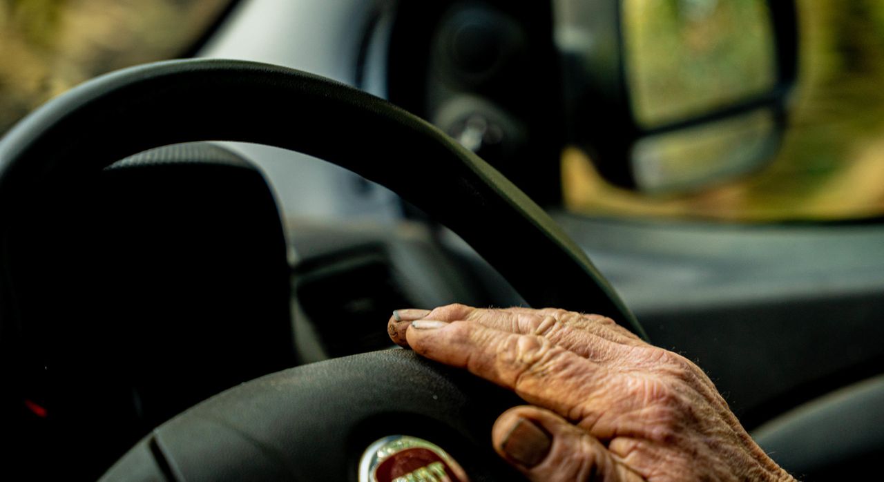 Healy Rae calls for online theory tests for all vehicles