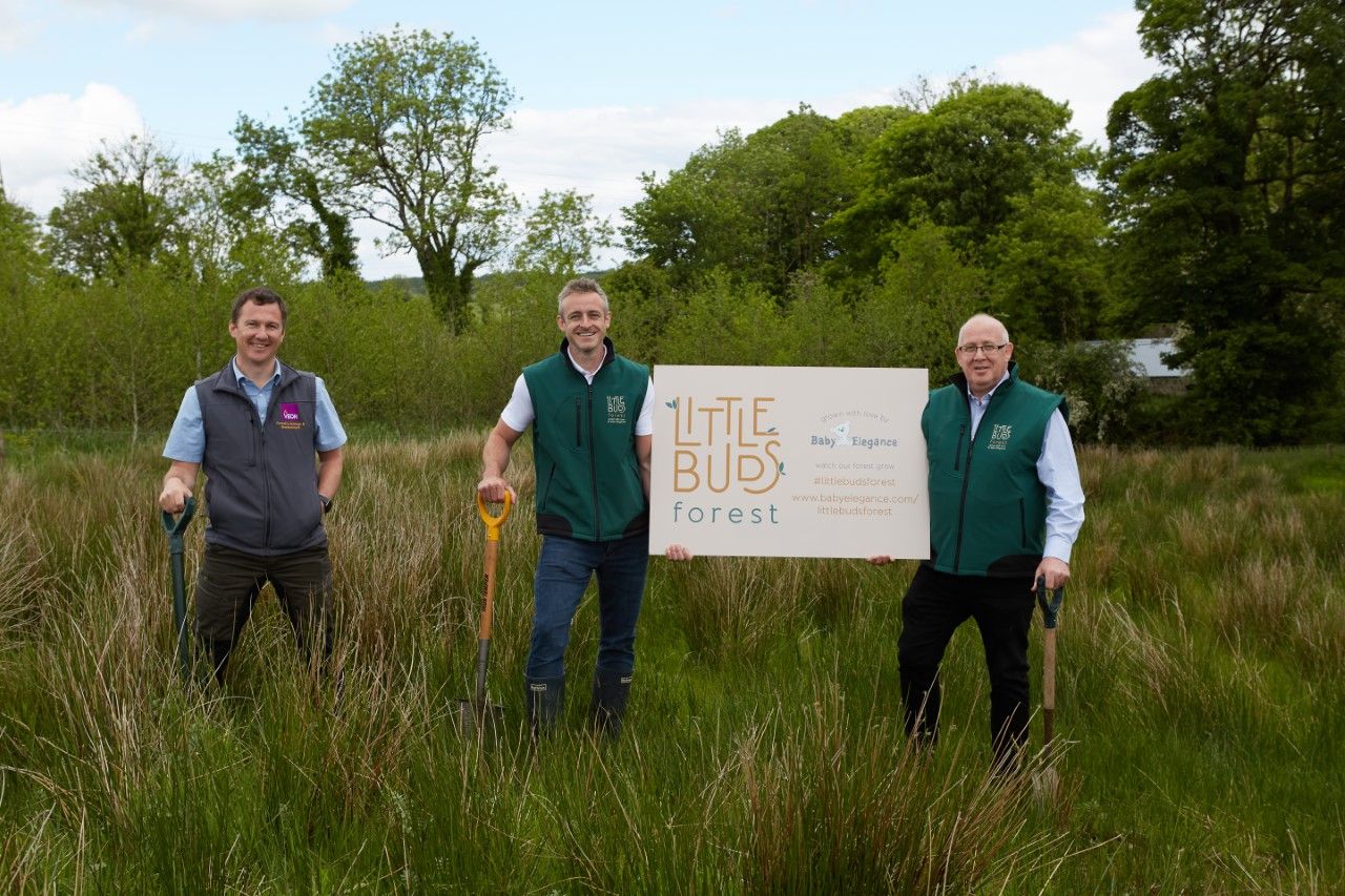 A tree to be planted for every cot or bed sold by baby brand