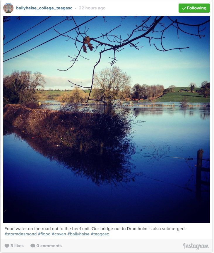 Pics: Storm Desmond battered farmland over the weekend