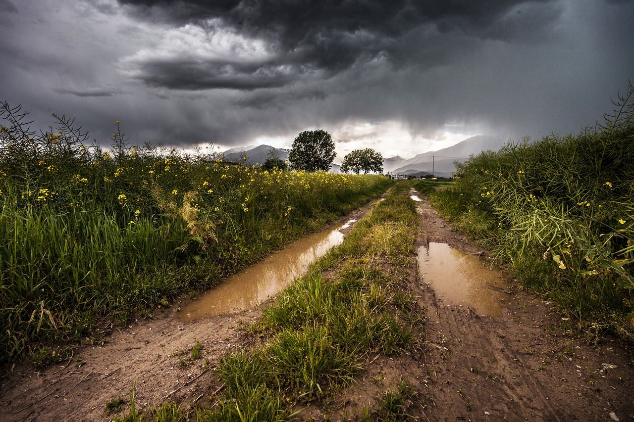 Met Éireann: Unsettled week ahead with some heavy rain