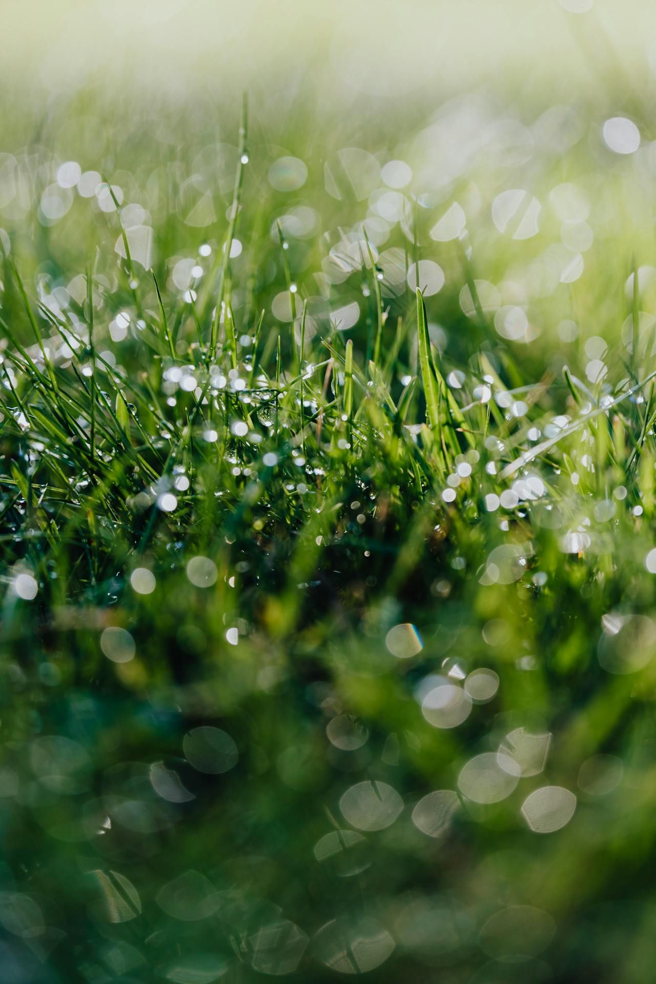 Met Éireann: Coming week to be 'more unsettled' 