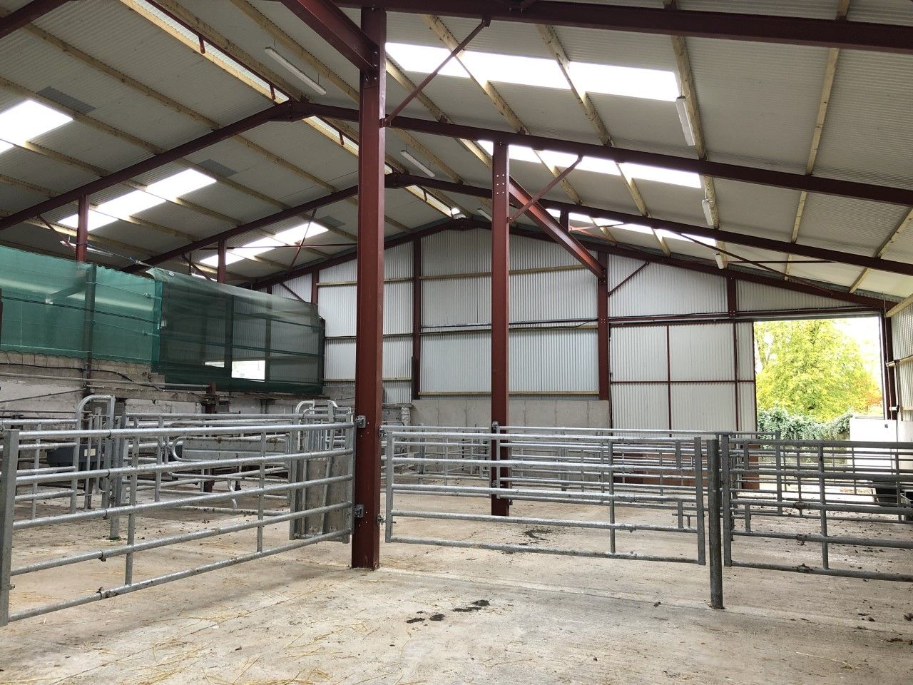 Spring calving: Calf house assessment