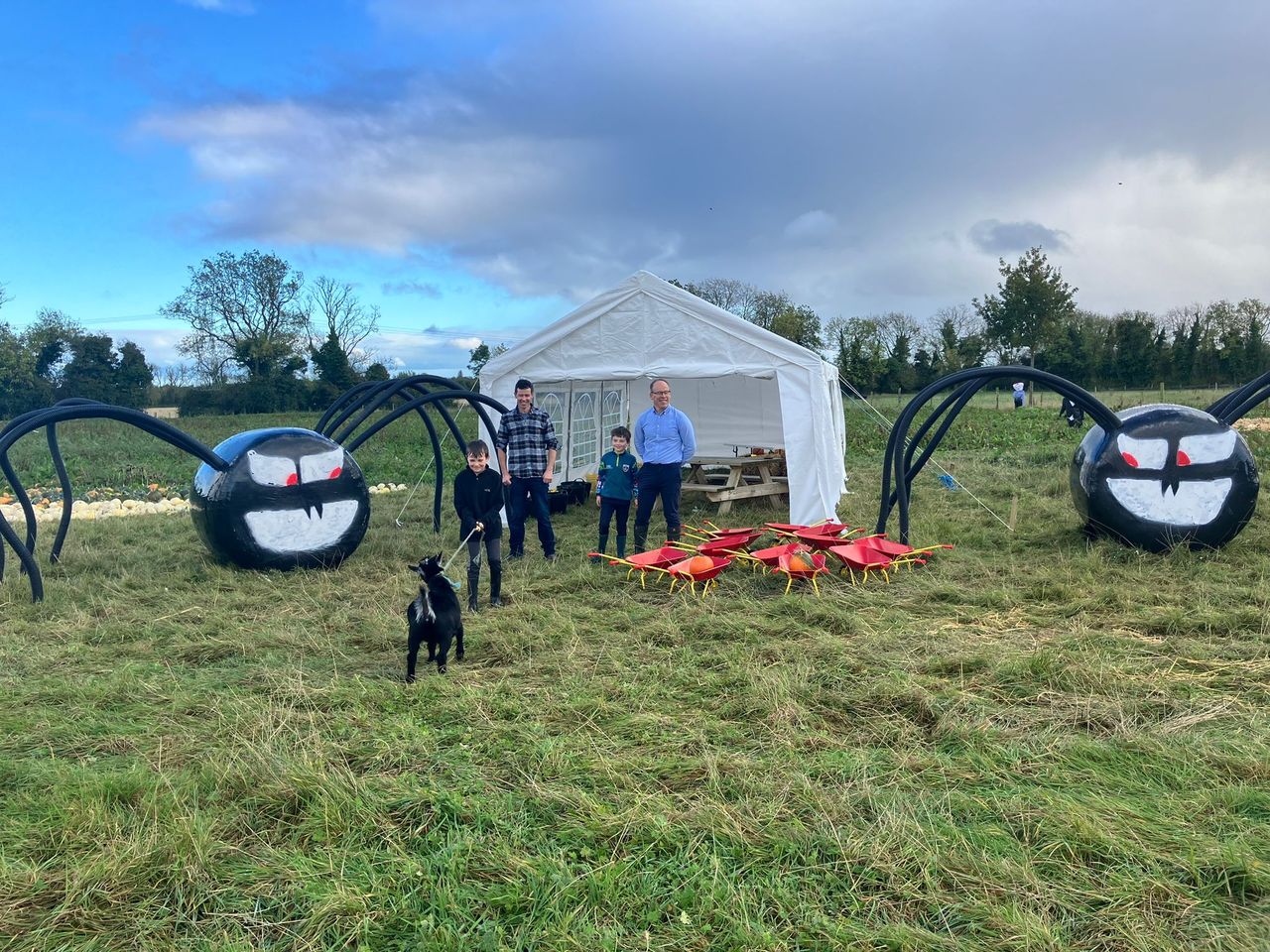 Watch: Ratoath Pumpkin Patch opens its gates today