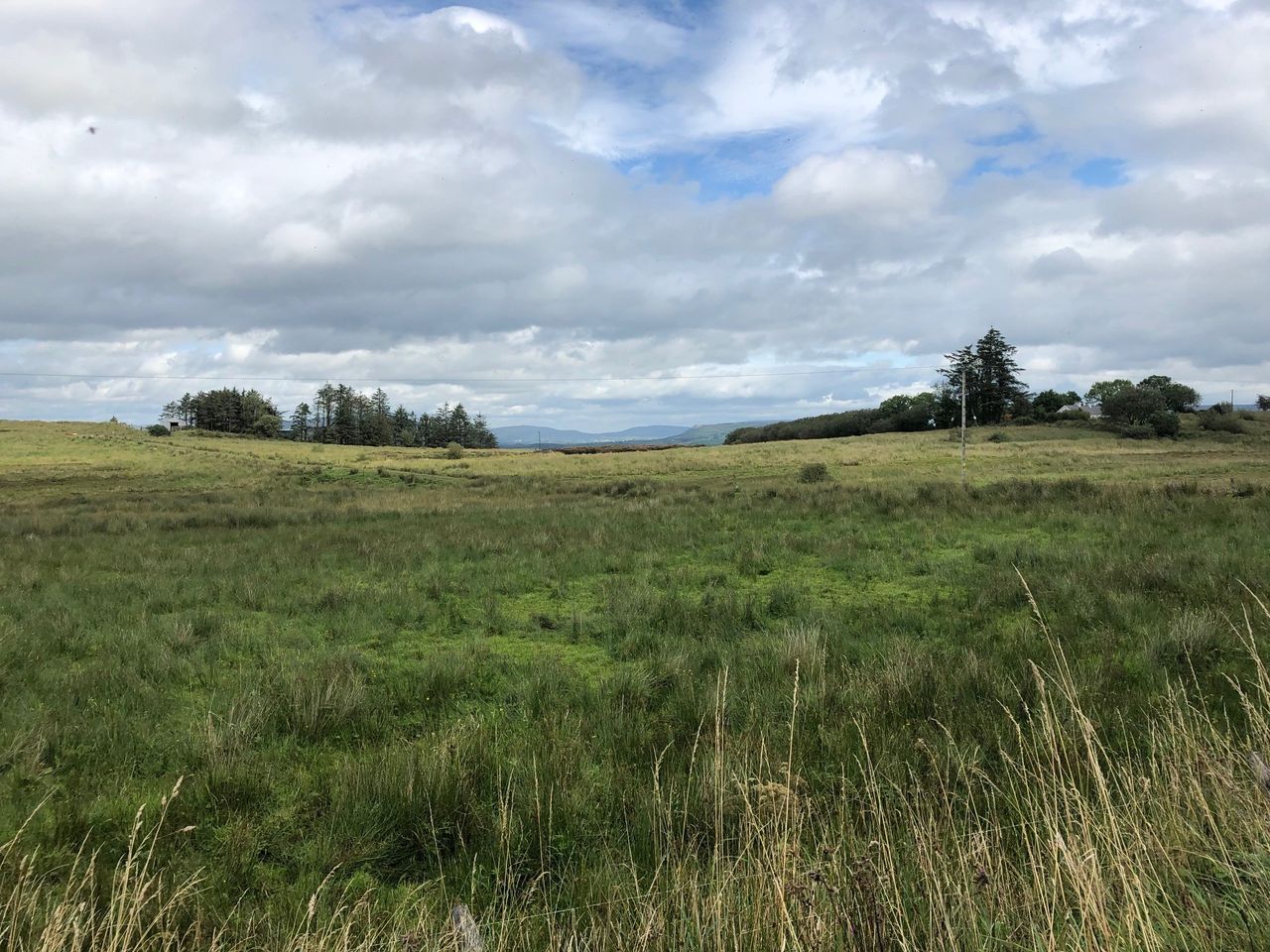 Residents up in arms over 5G rollout in Co. Leitrim