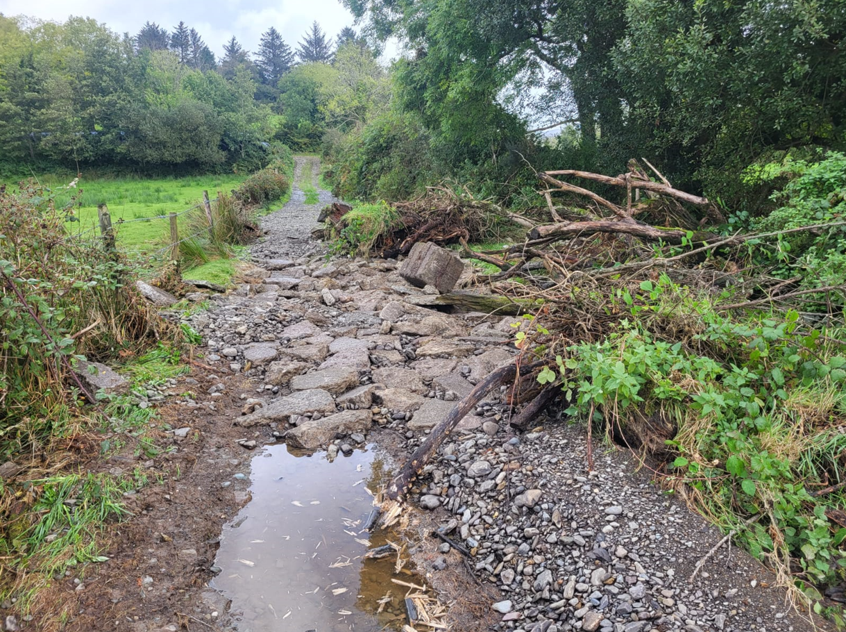 Watch: Flooding leaves west Cork farmer counting the cost