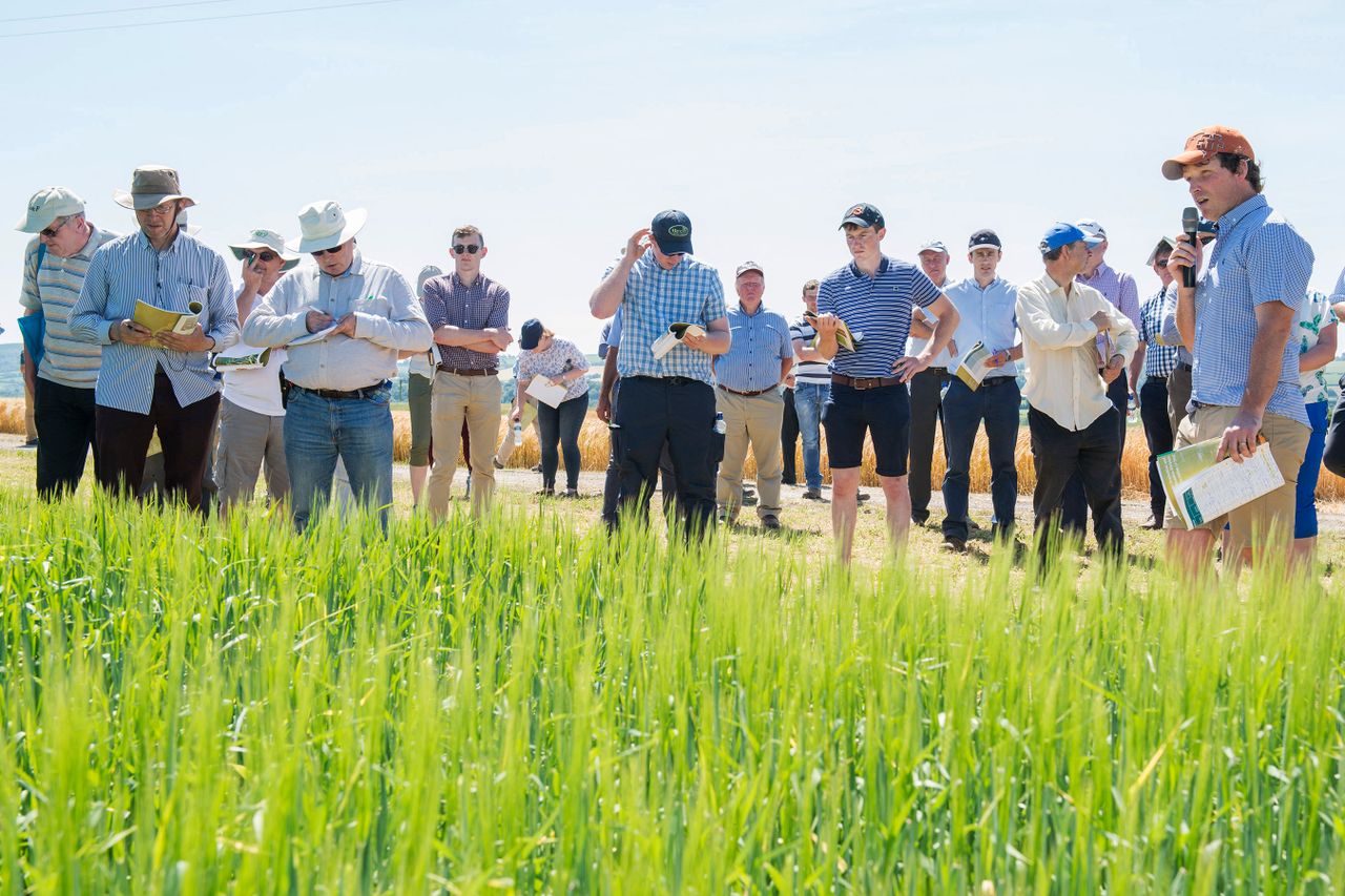 June...a month to see new advances in the tillage fields