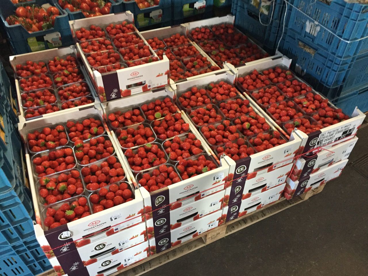 Behind the scenes at one of Europe's largest fruit and veg co-ops