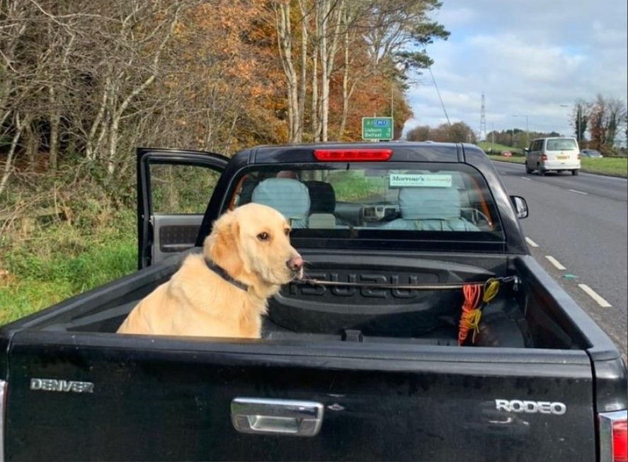 Driver with 'insecure load' in the doghouse with the law