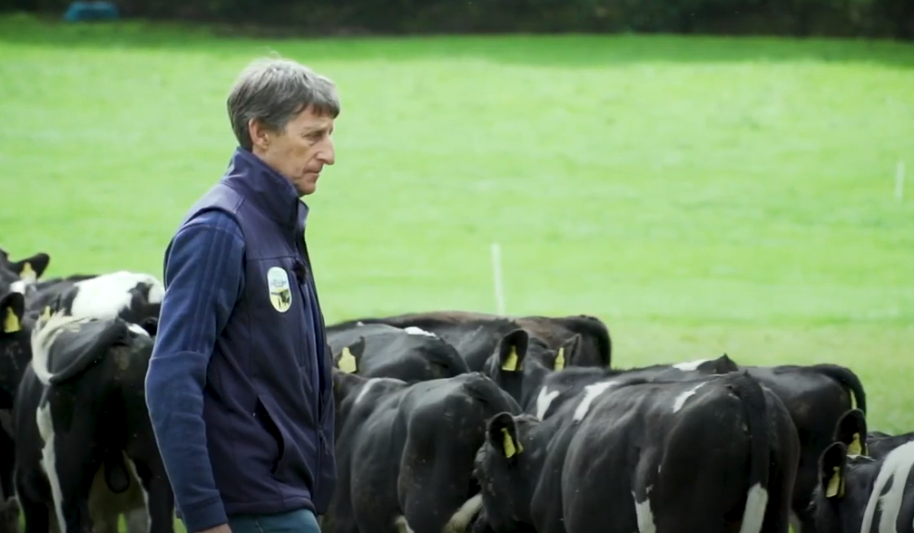 Virtual Farm Walk: Chasing heavier carcasses in Co. Roscommon