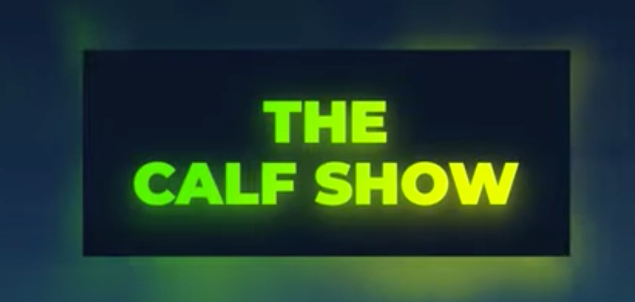 Video: 'The Calf Show' recap - From buying calves to turning them out
