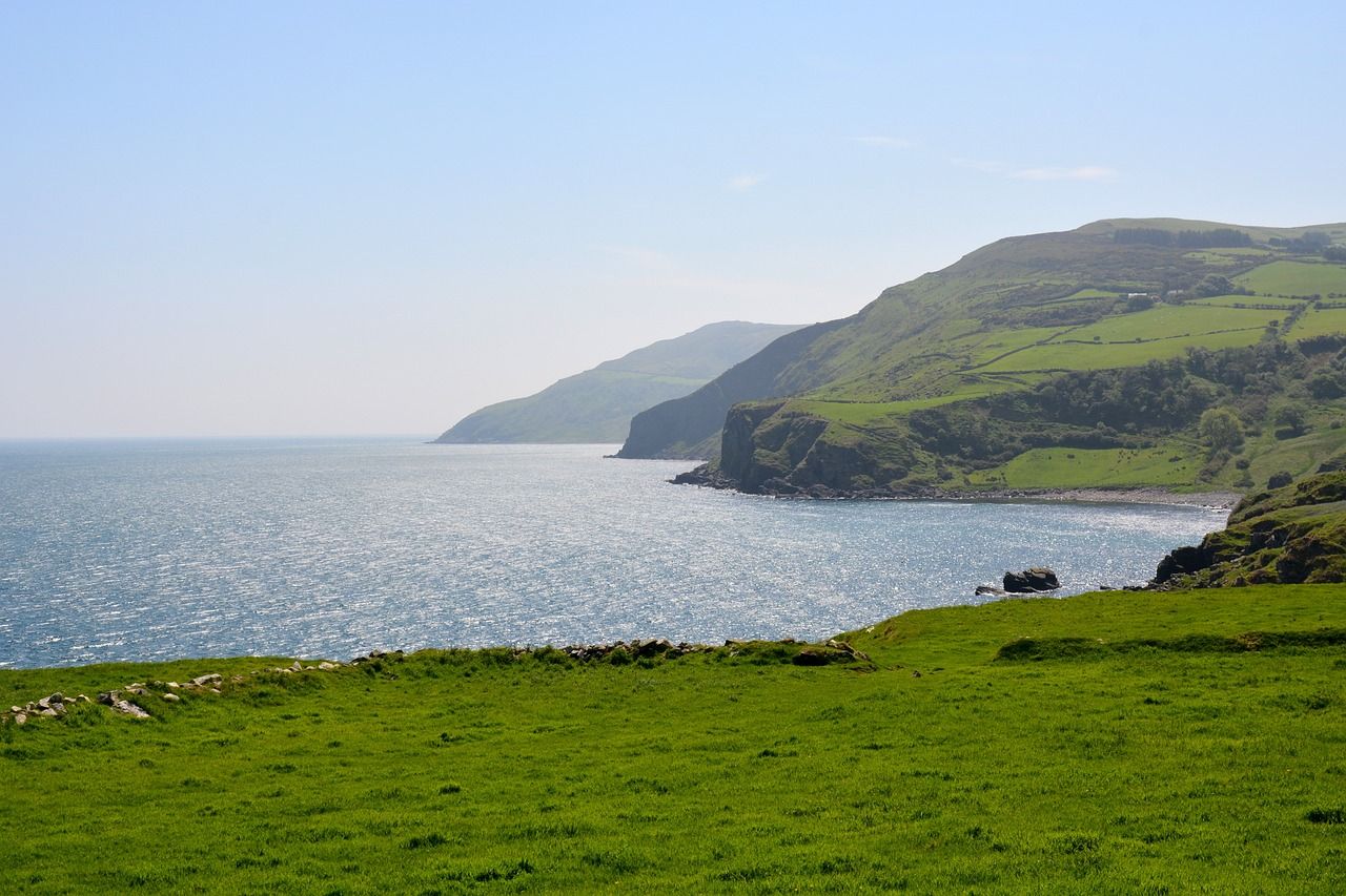 Ireland climbs 14 places on Climate Change Performance Index