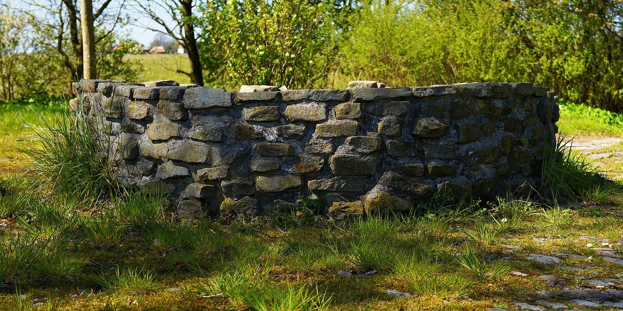 Public callout to find Kilkenny holy wells and mass paths