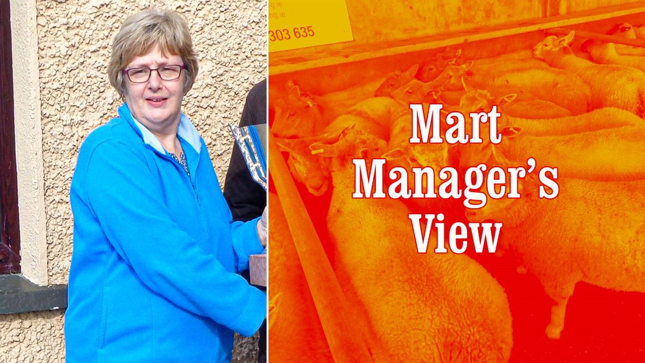 Fat lambs reach €133/head at Ballinasloe Mart's final sheep sale of 2020