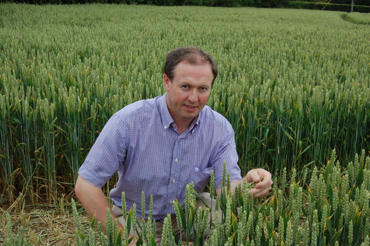 Improving soil fertility is a long-term process