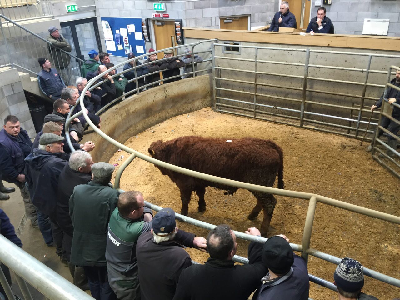 Cattle marts: 'Factory games' having a big impact on the trade