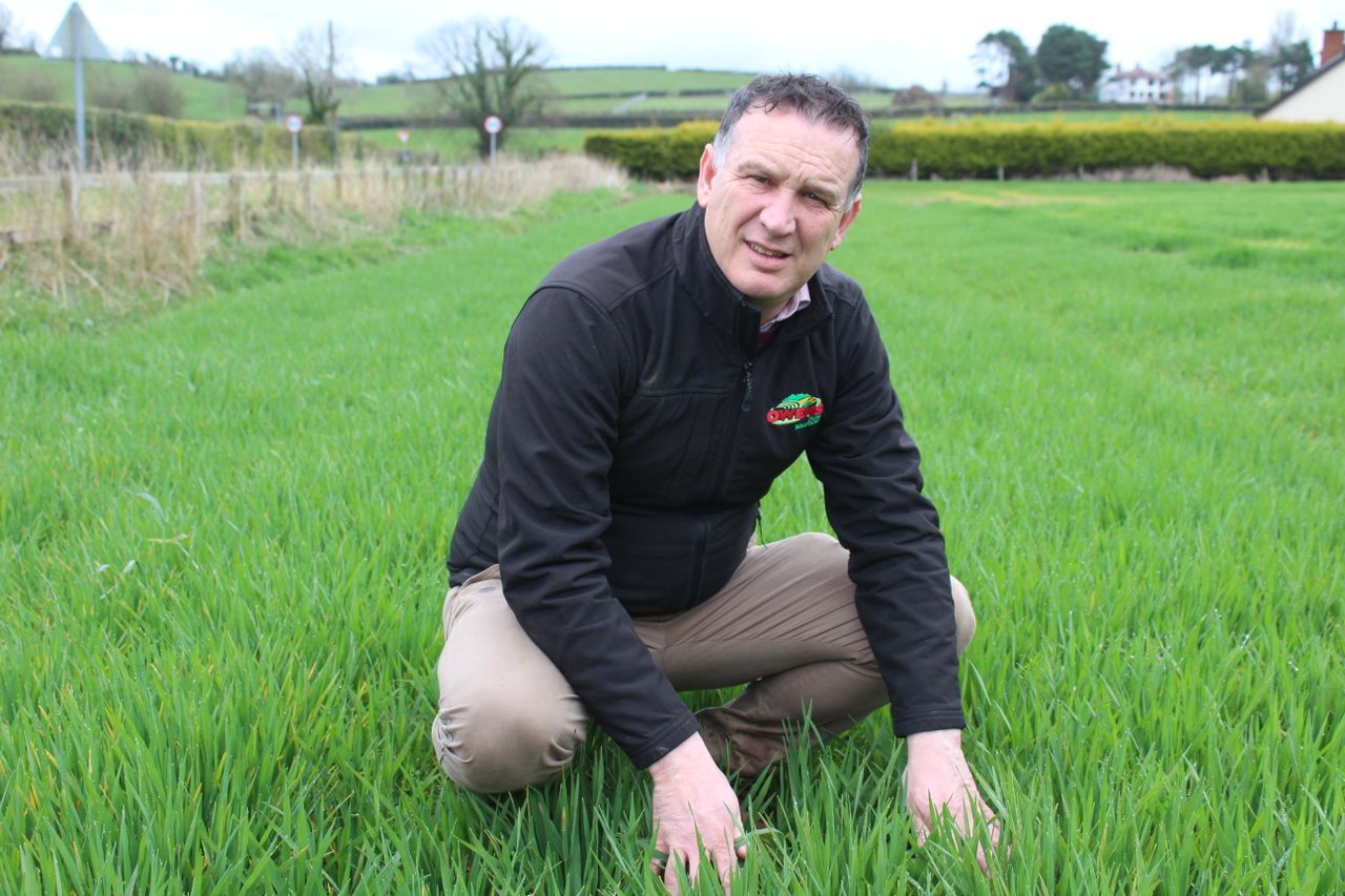 Autumn planting season at tipping point in Northern Ireland - agronomist