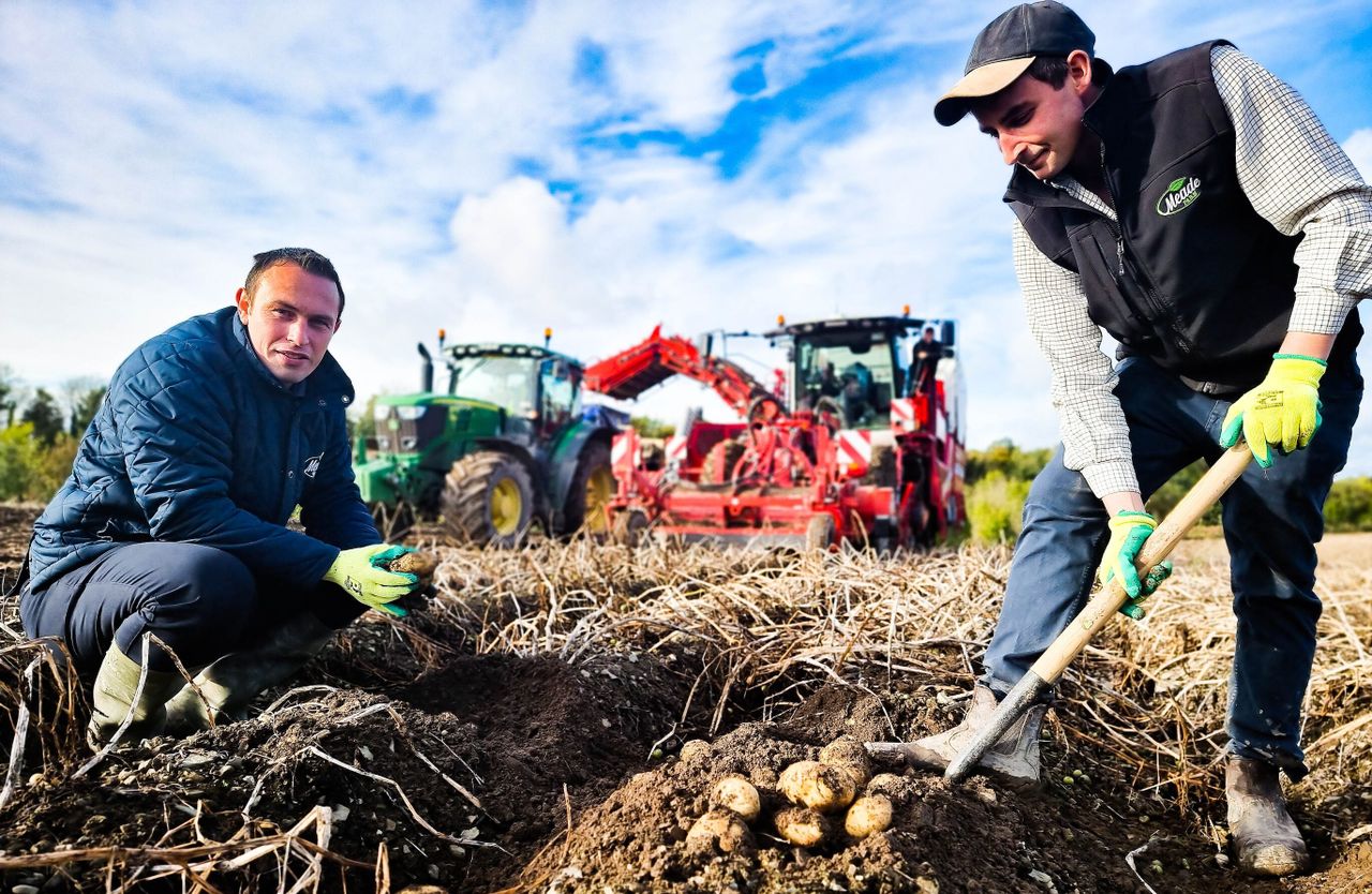 Mitigating climate change with organic matter