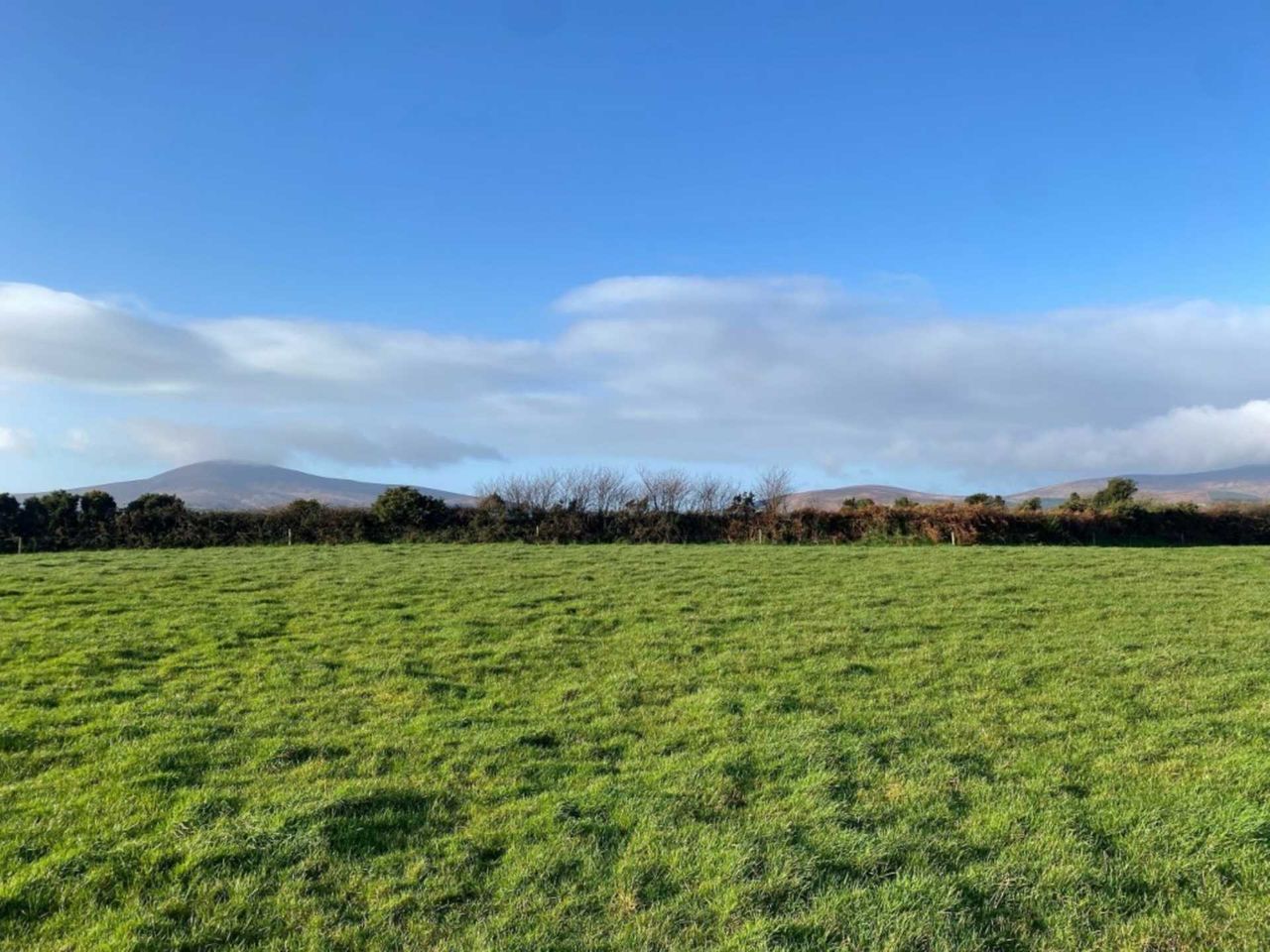 5.4ac roadside holding in Enniscorthy for sale