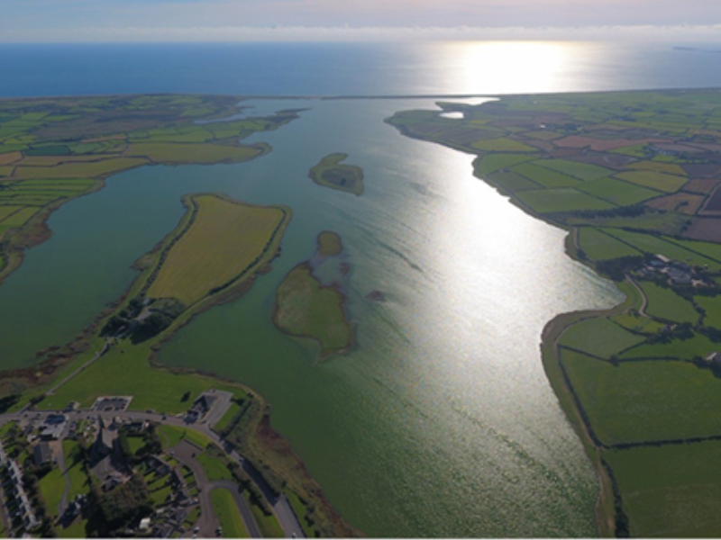 New measures needed to 'address excess nutrients from agriculture' at Lady’s Island Lake