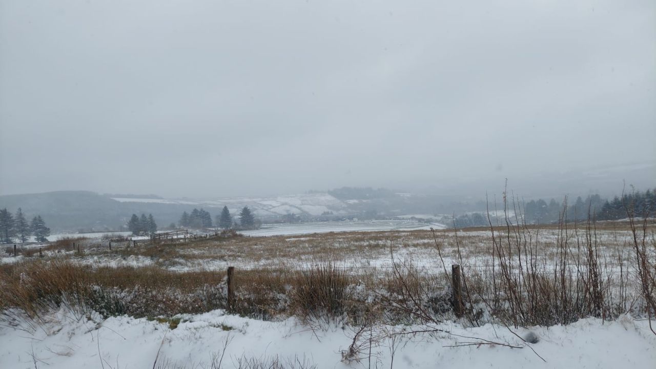 Thousands of homes and farms without power due to snow impacts