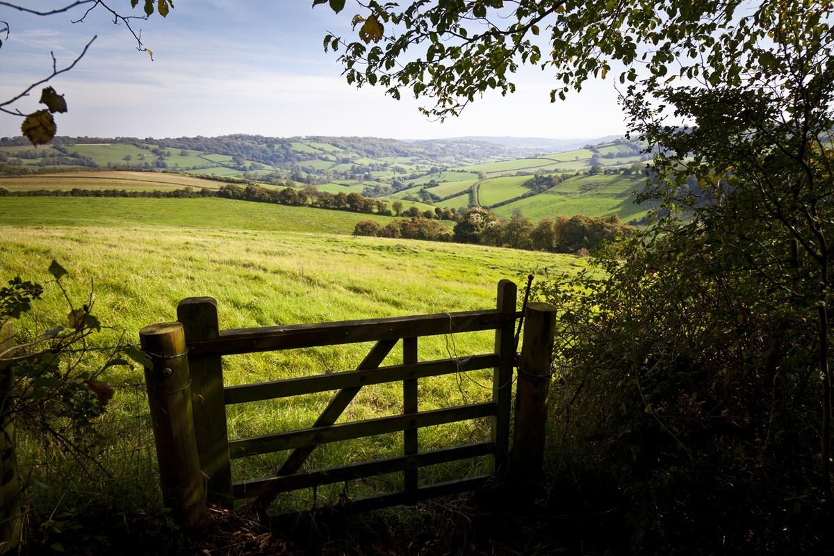 GLAS 'must be reopened' to 2,000 AEOS farmers