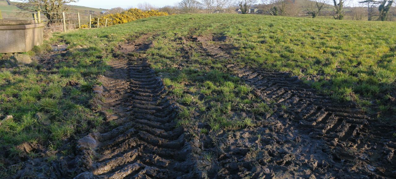 GrassCheck: Growth set to exceed 10-year average