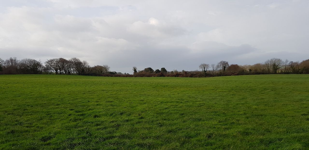 Substantial agricultural holding at Shanaway, Tarbert