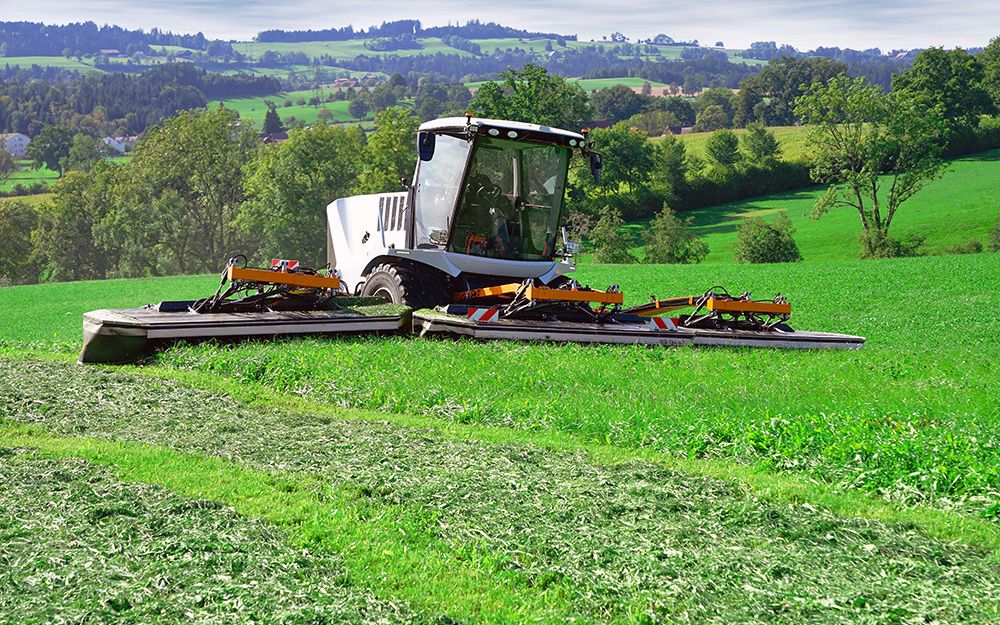 Cutaro self-propelled mower to compete with Krone