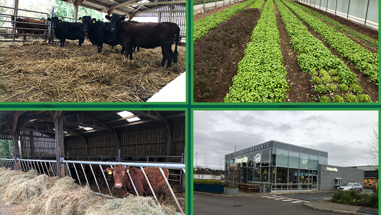 Beef Focus: West of Ireland organic farm-to-fork business