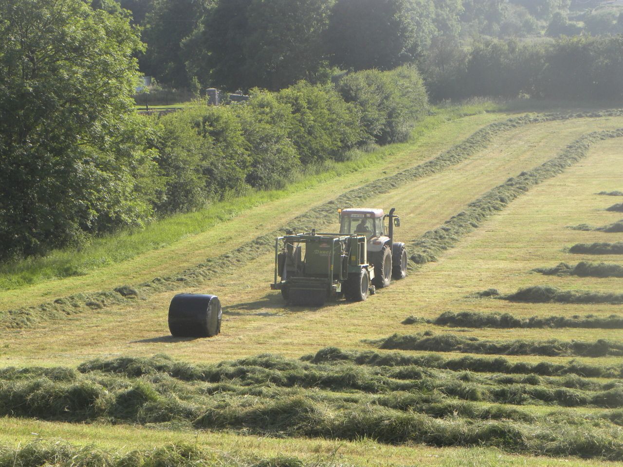 Grass growth: The differences are uncanny