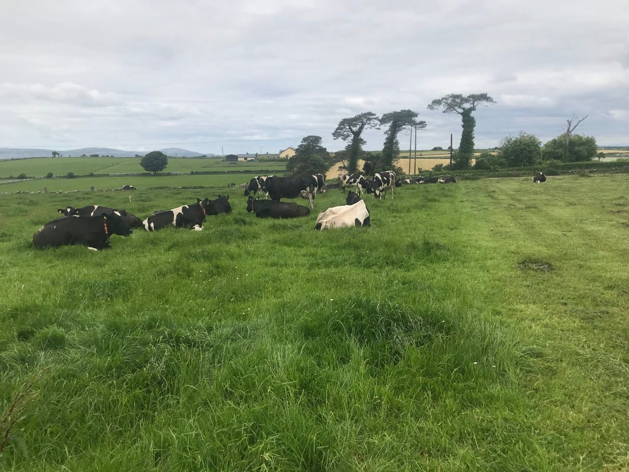 Dairy Focus: 'Winter milk is a system that's not working'