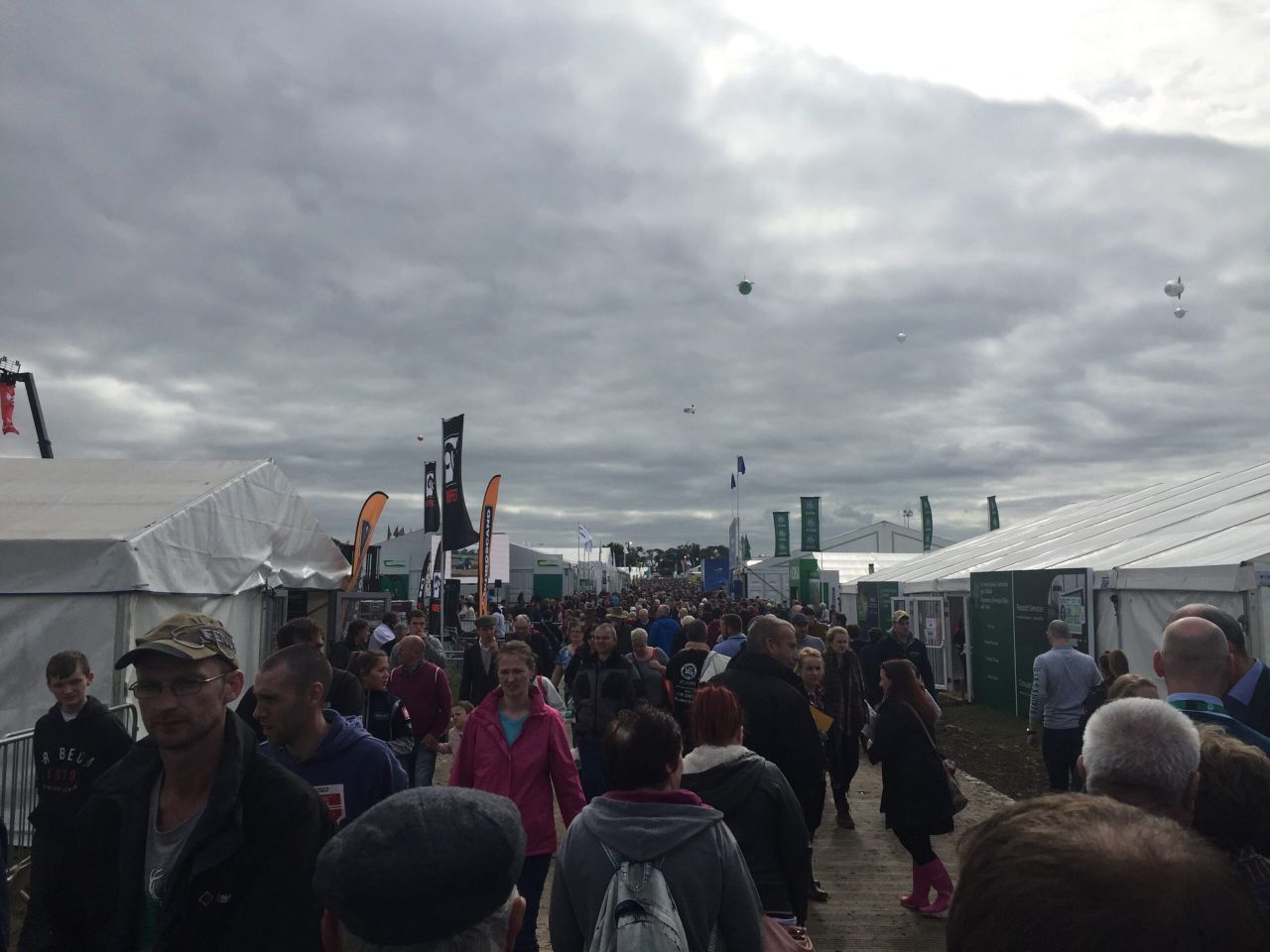 Take a selfie with Harry the Hereford at this year's Ploughing