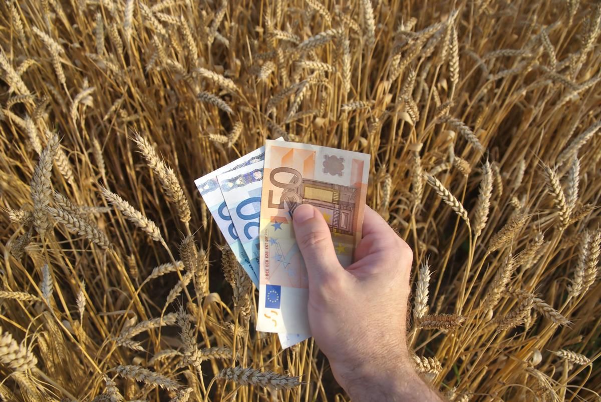 Key scheme payment dates farmers should know about in 2017