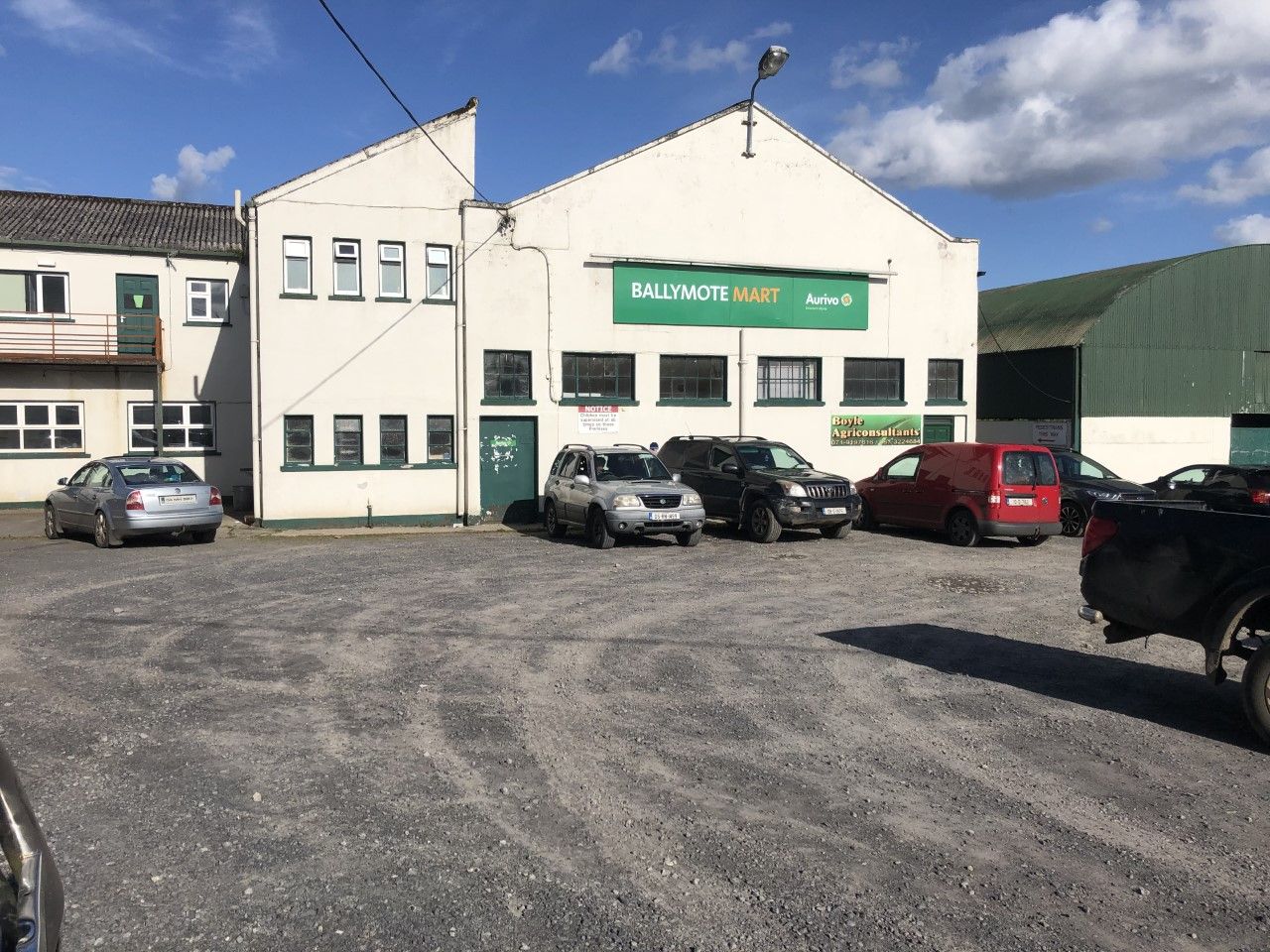 Pre-Christmas boost for sheep trade at Ballymote Mart