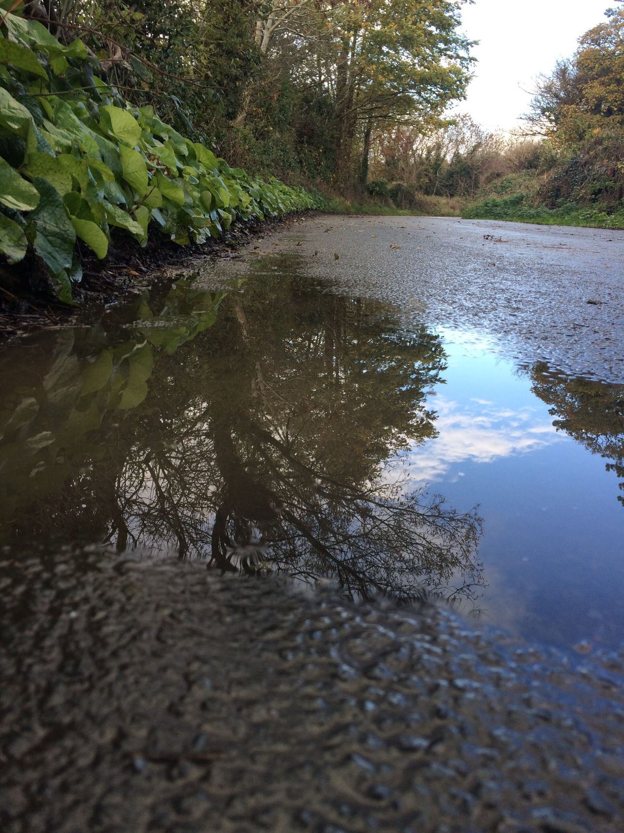 Yet another unsettled week ahead - Met Eireann