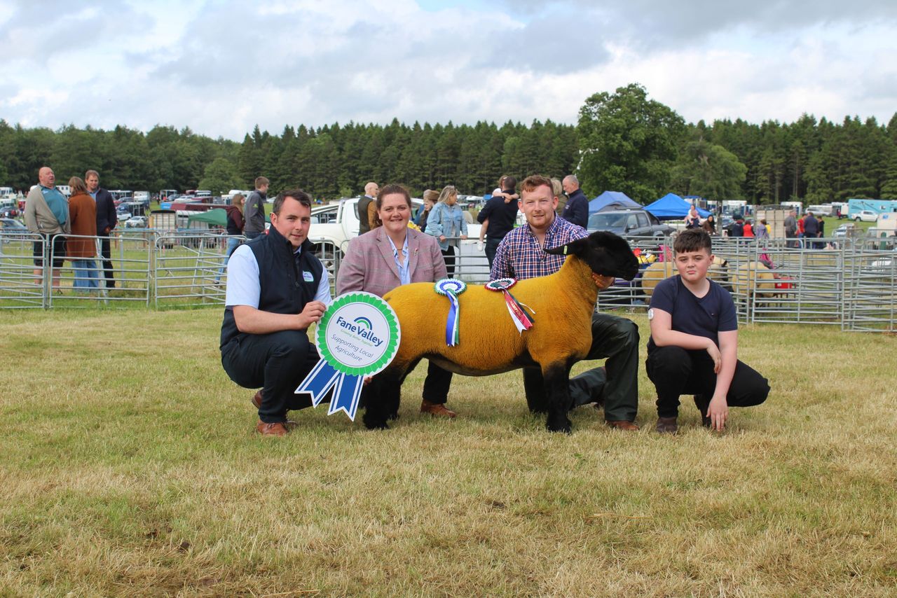 Suffolk shearling ewe makes its mark at Armagh Show