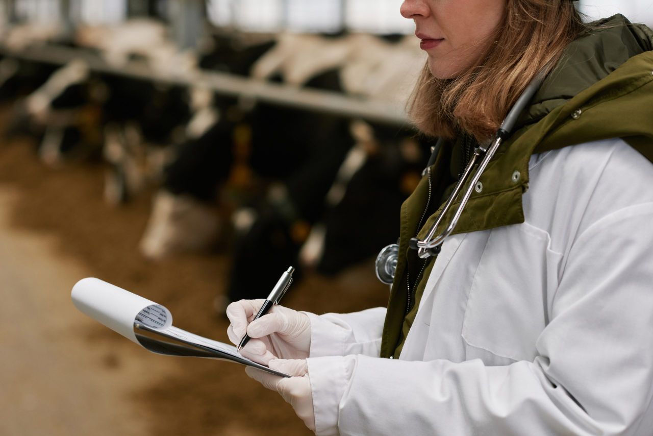 New veterinary medicine course at ATU to be launched today