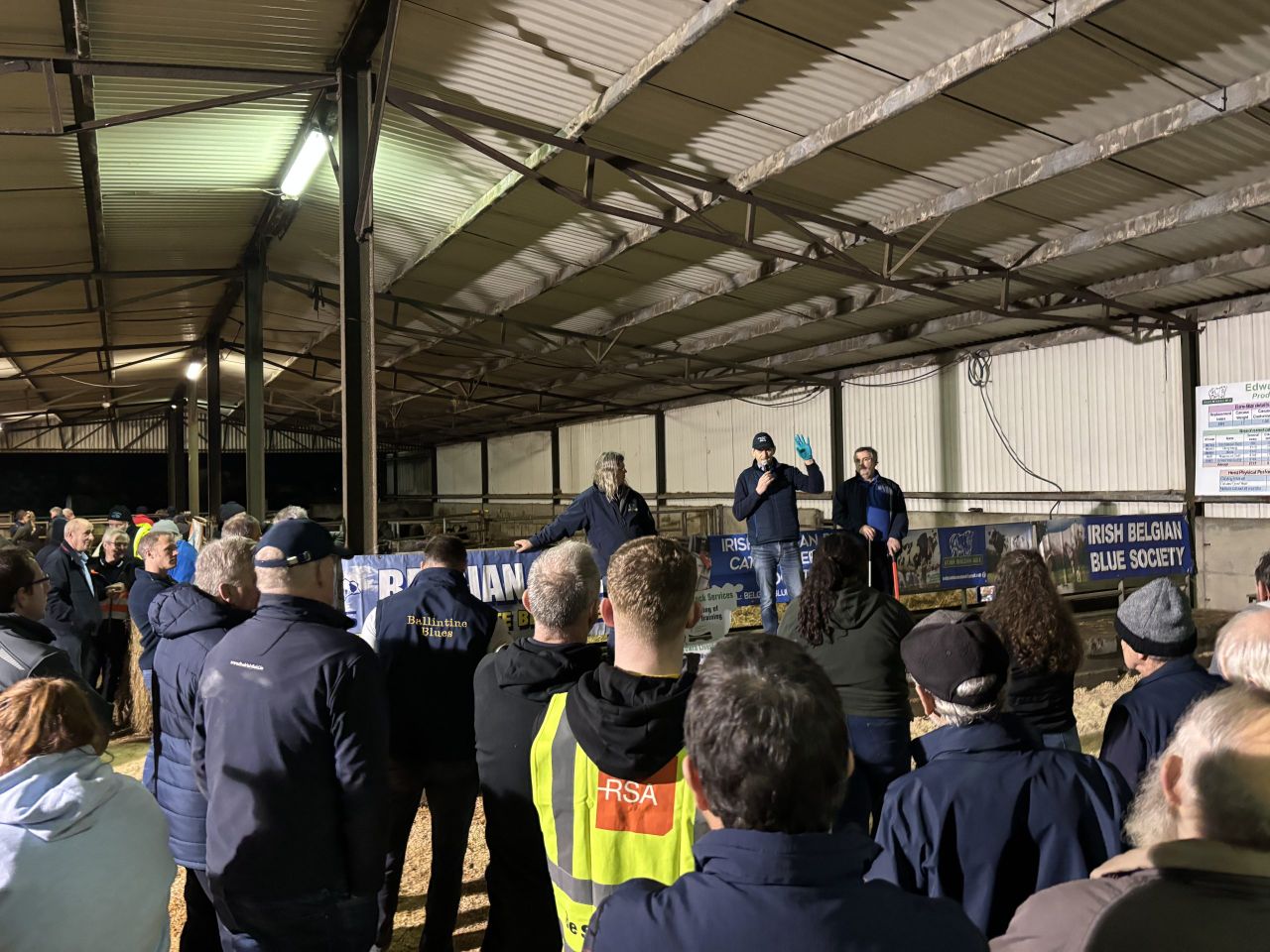 Belgian Blue Society hosts breed event on Laois suckler farm