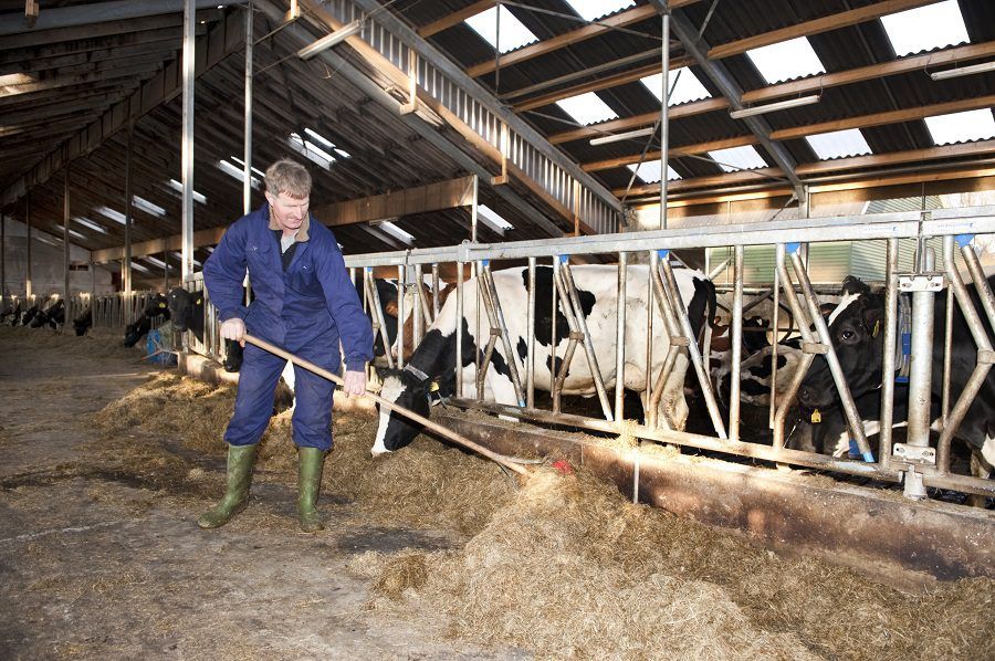 Only 37% of farms economically viable last year - Teagasc