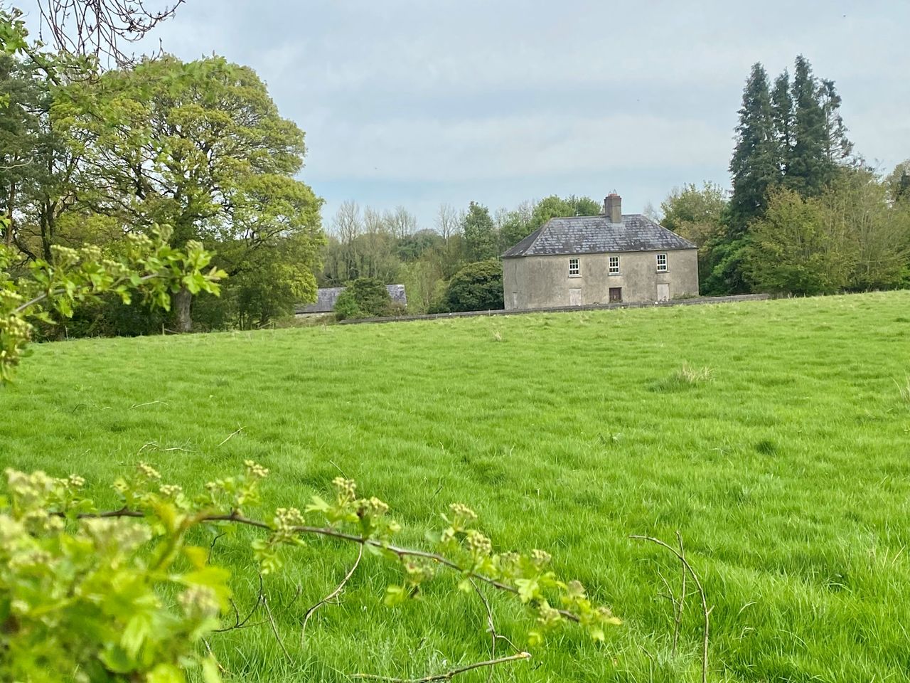 Meath's Cooltown House with 143ac for auction