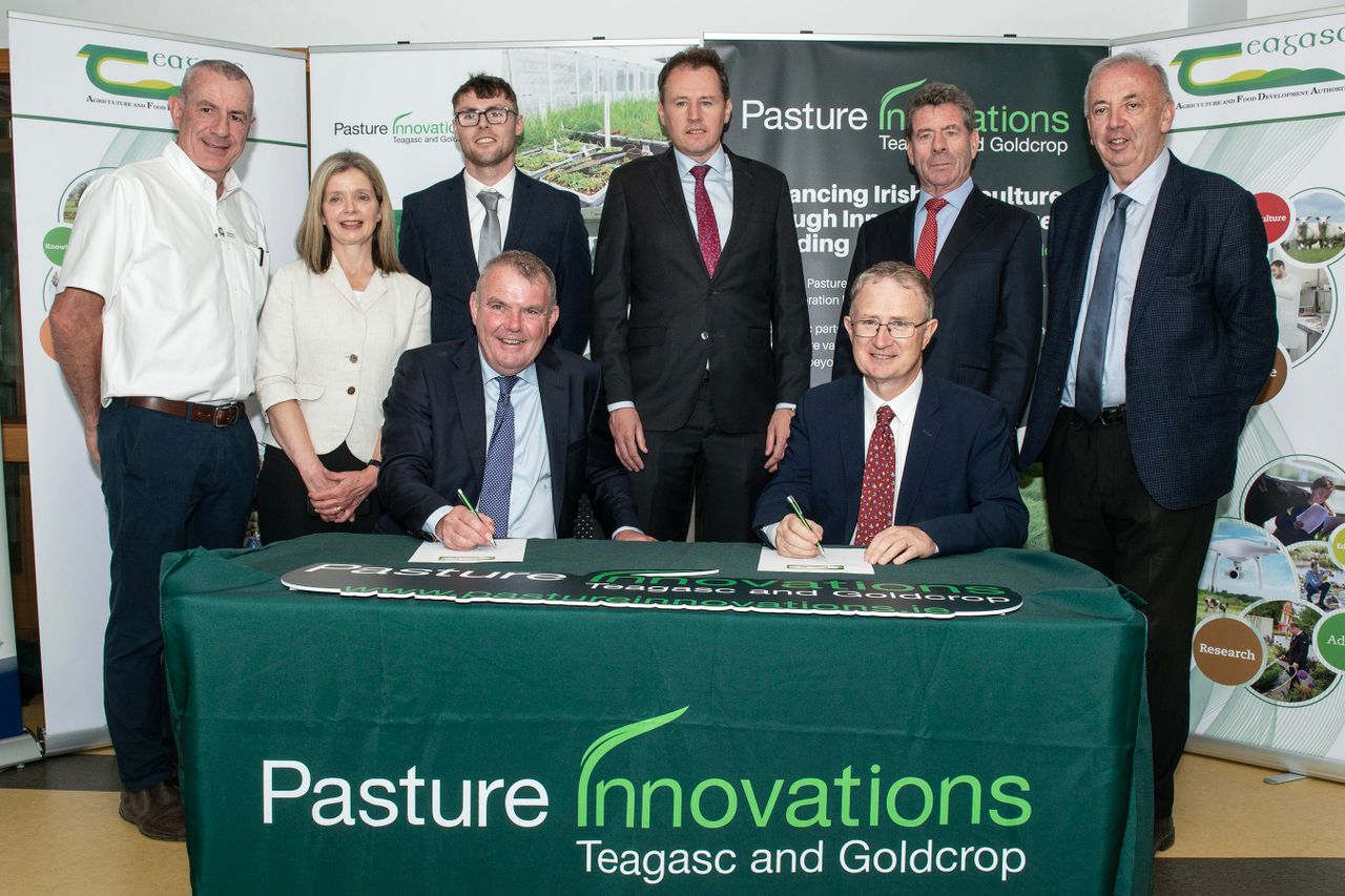 Grass and clover genetic improvement programme launched