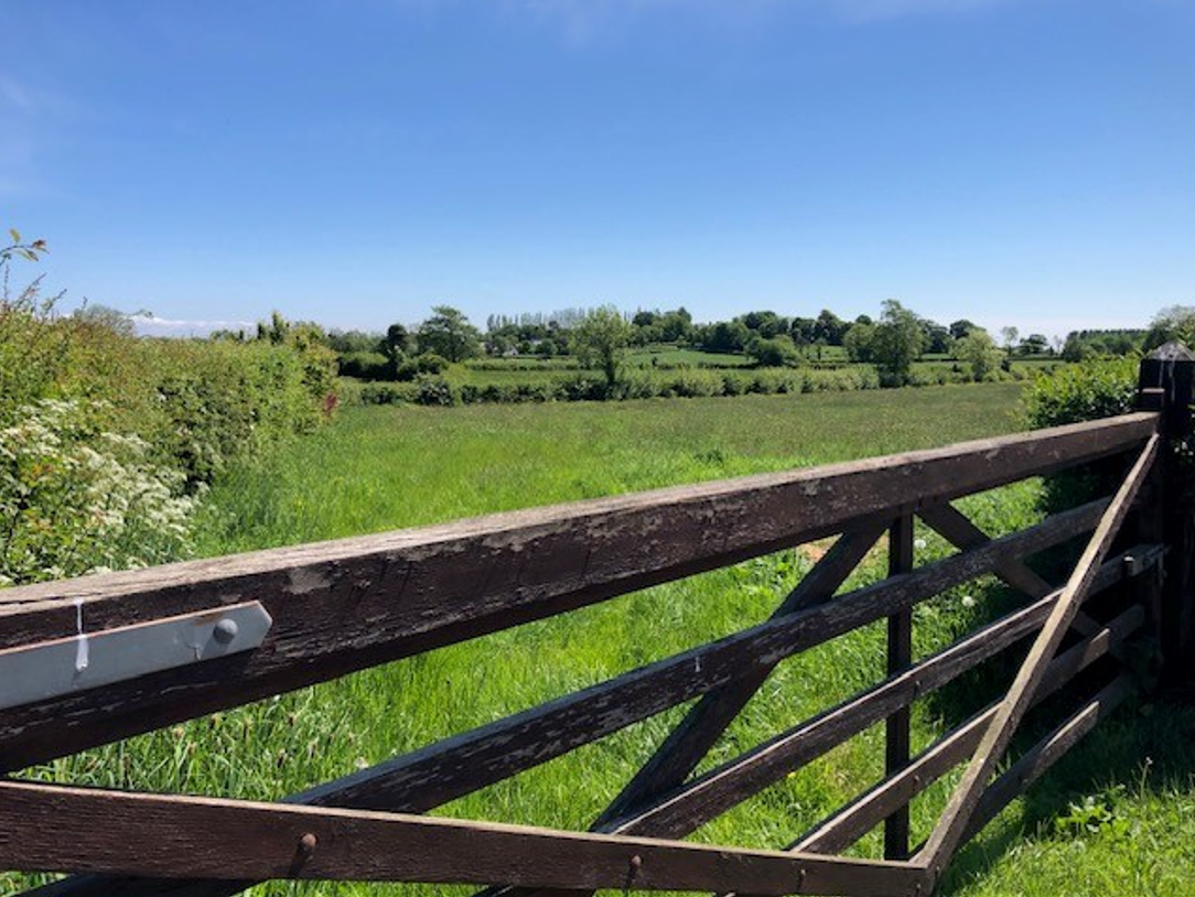 Cost of farm land expected to rise by 6% this year - SCSI