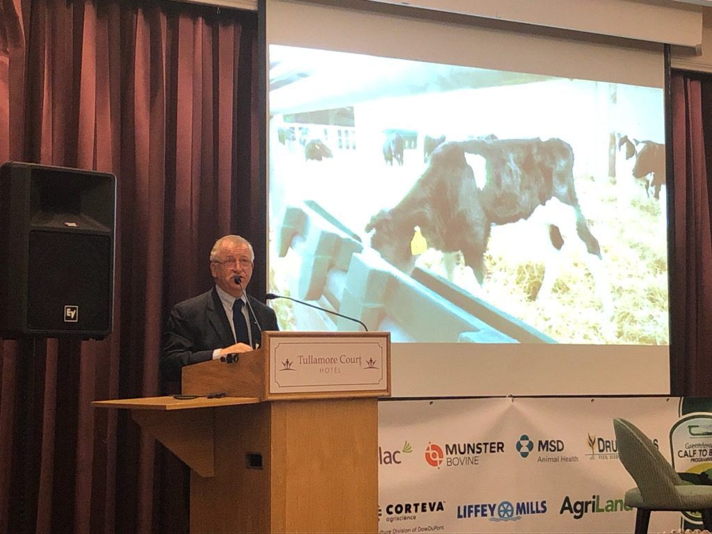 Teagasc commits to increasing beef sires used on its dairy herds