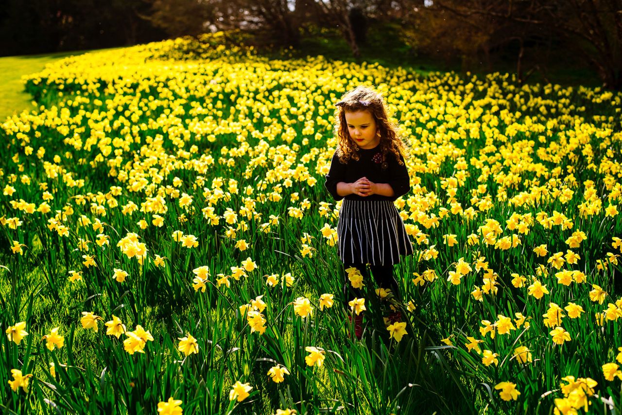 Mount Congreve Gardens to bring families closer to nature this Easter