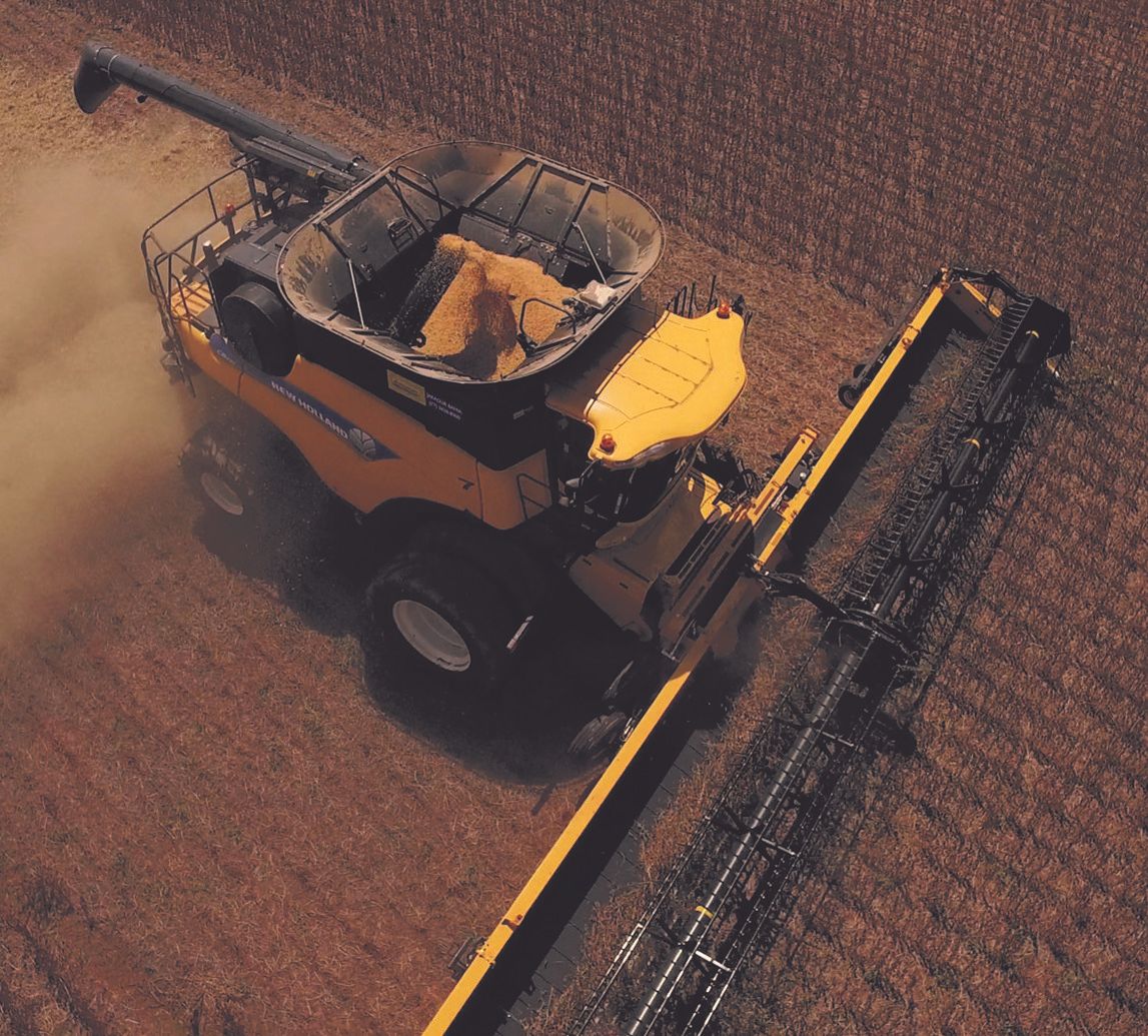 Grain price: What really influences it?