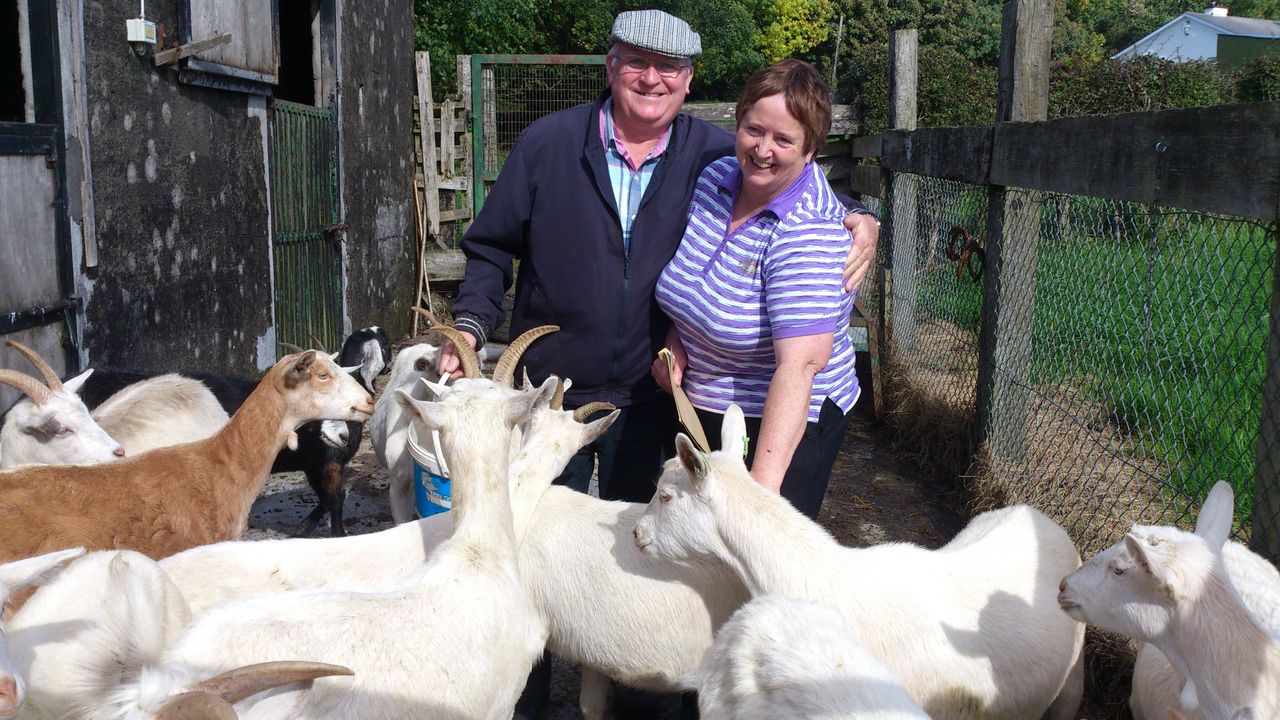 Westmeath couple reared over 1,000 goats for Bóthar