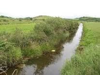 Significant work to be done on water quality, MEP McGuinness says